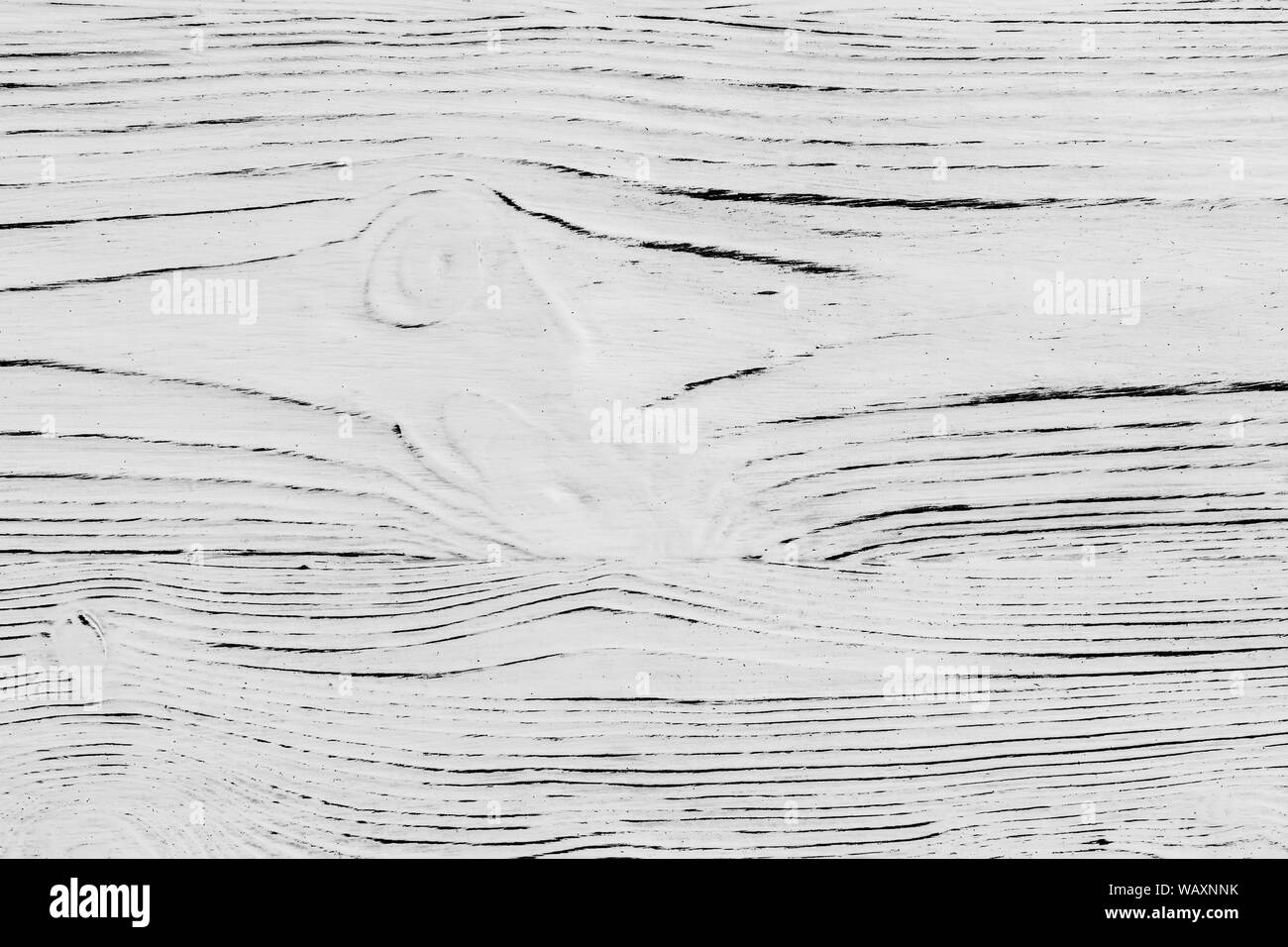 Black and white wooden plank texture. Abstract background for design