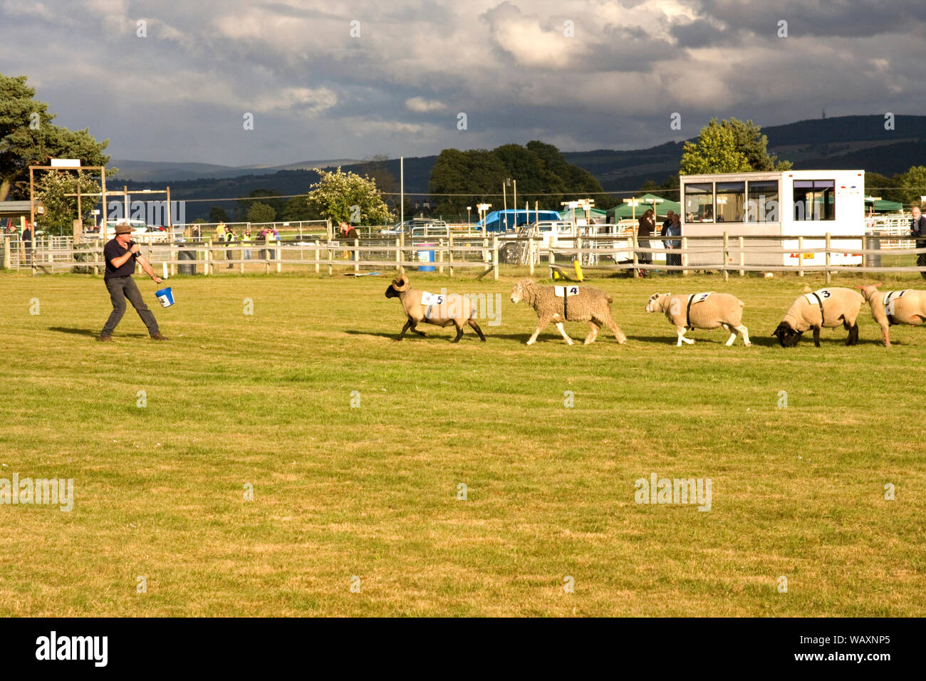 Black Isle Show, Muir of Ord near Beauly Stock Photo Alamy