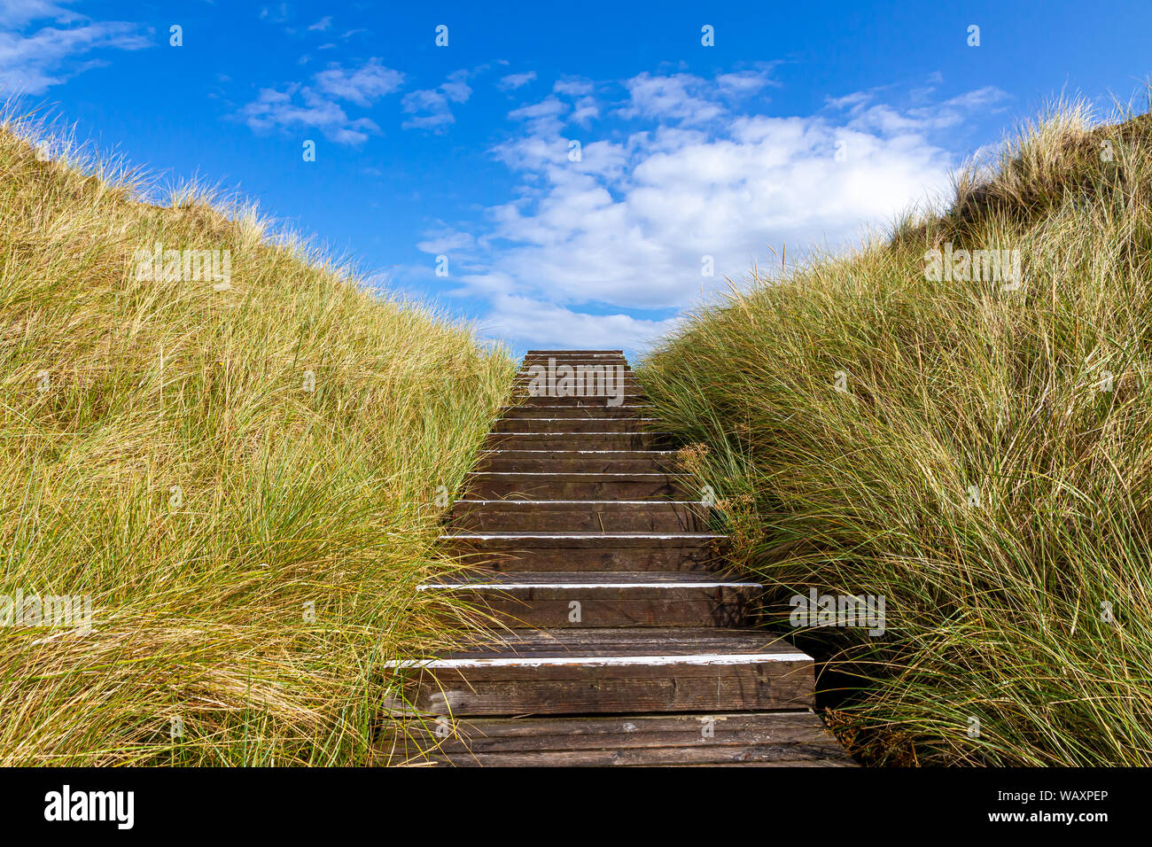 Stairway to the sky - Island Amrum Stock Photo