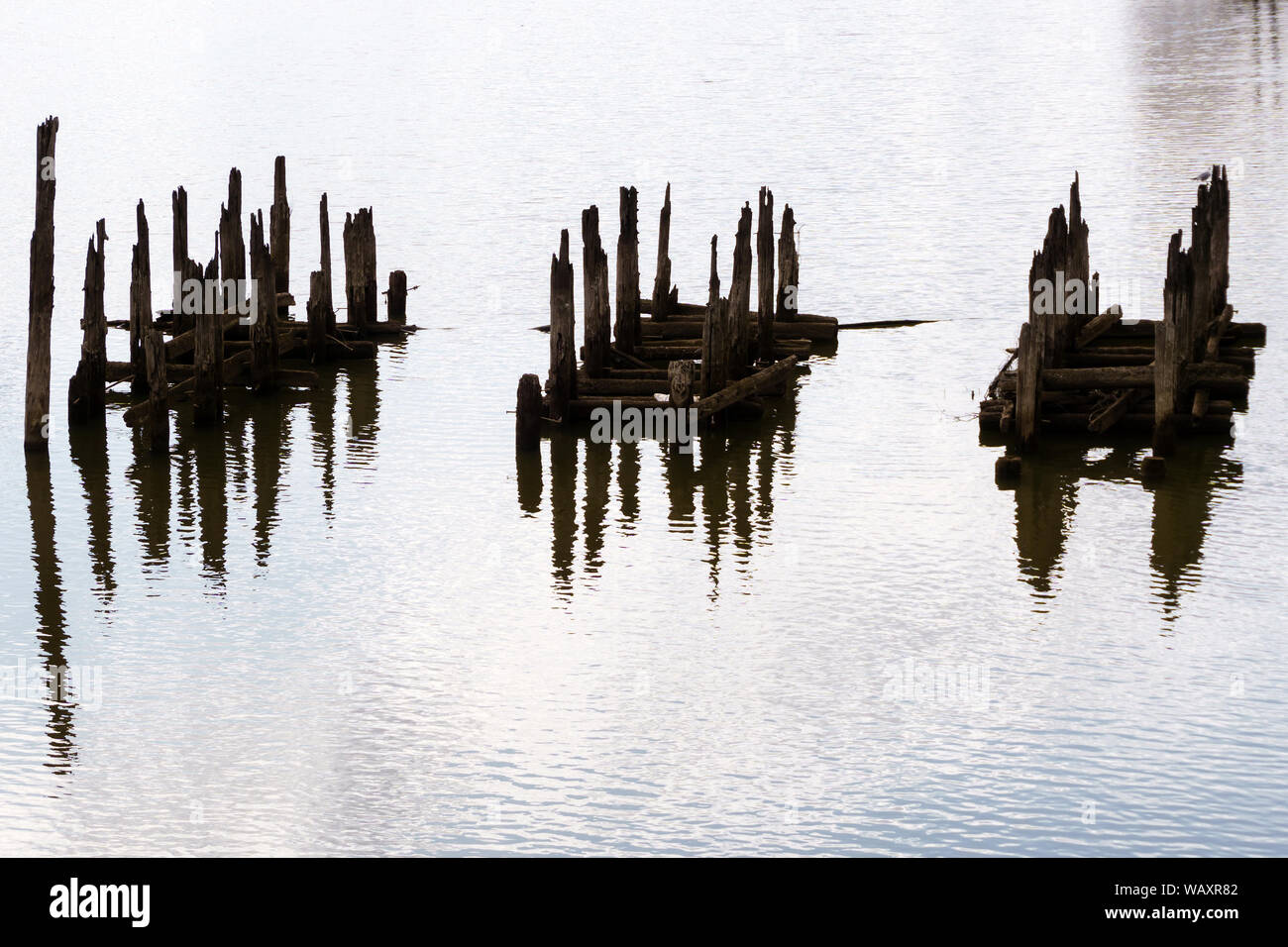 beautiful water landscape with fragments of piles of destroyed bridge, reminiscent of unknown hieroglyphs Stock Photo