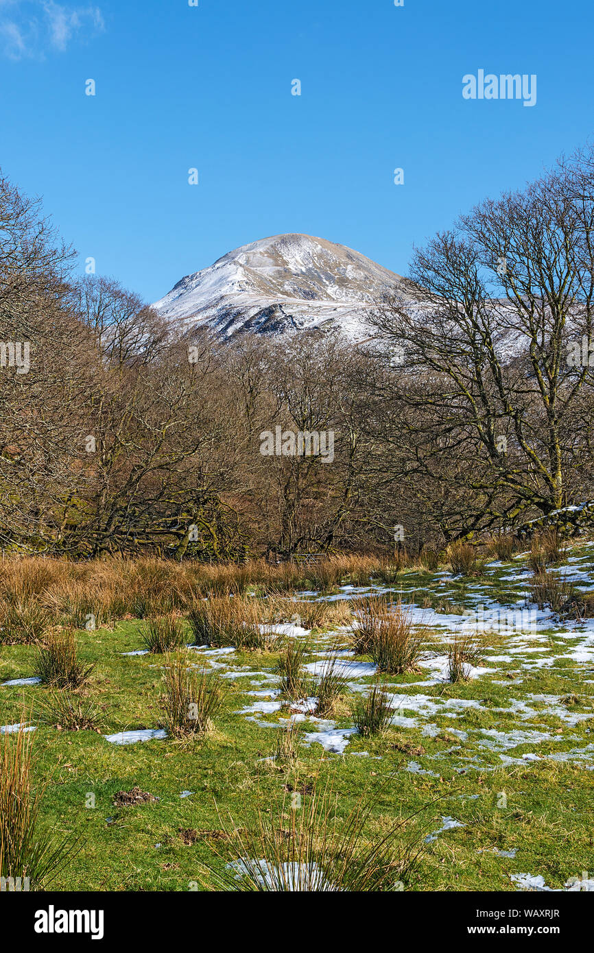Moelwyn Mawr mountain viewed through woodland near the village of Croesor Snowdonia National Park UK March 8444 Stock Photo