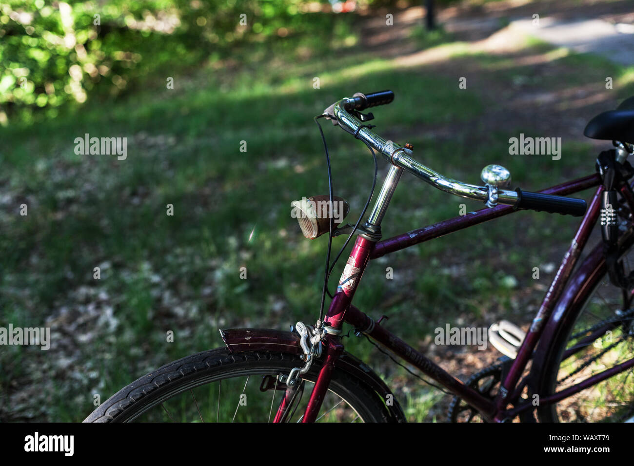 old men's wheel hollandrad bike in forest chrome rusty, green Stock Photo