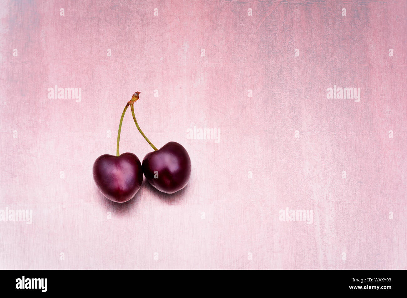 Concept of togetherness in a minimalist image of two cherries one heart shaped joined together against a pink background Stock Photo