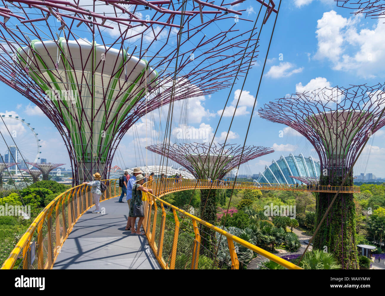 The OCBC Skyway, an aerial walkway in the Supertree Grove, Gardens by the Bay, Singapore City, Singapore Stock Photo