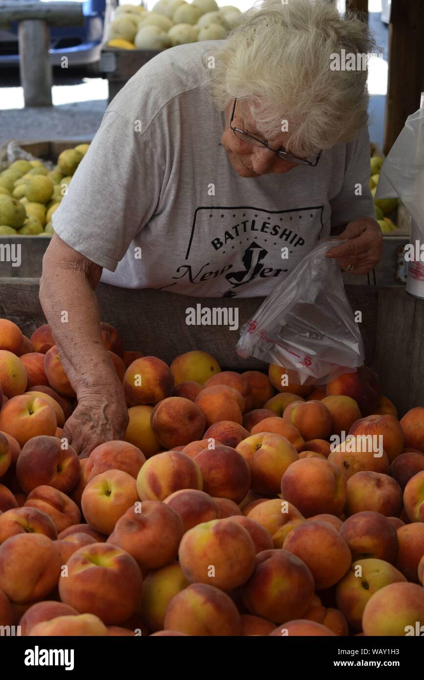 Old gunpowder road beltsville hires stock photography and images Alamy
