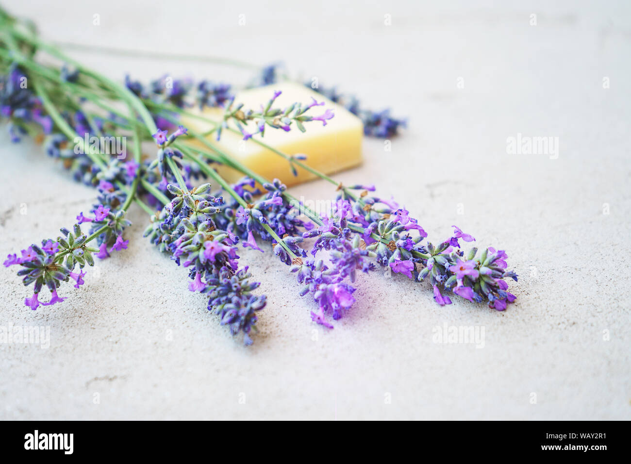 Lavender flowers and natural soap for bodycare on concrete background. Stock Photo