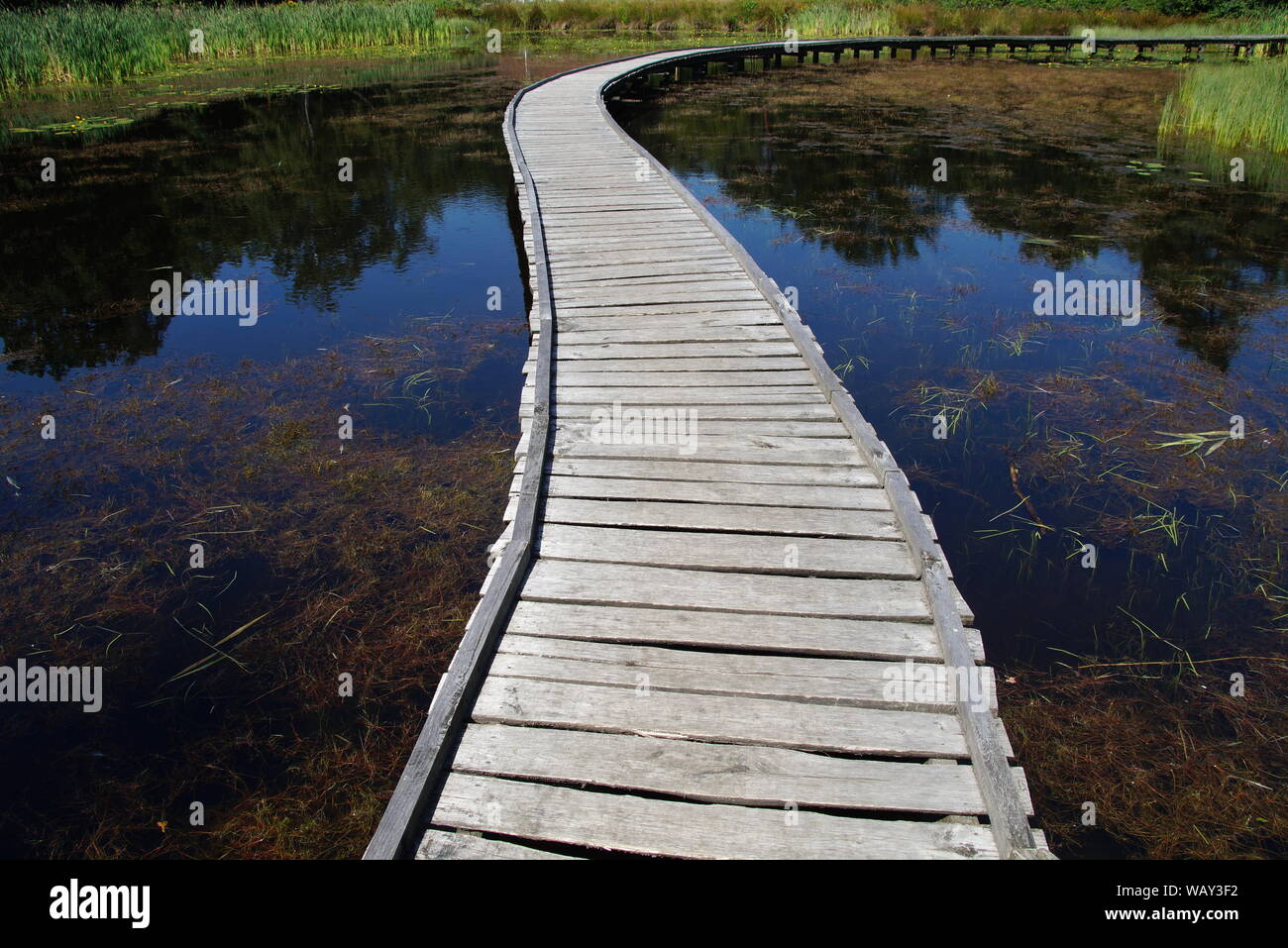 Peaceful path of life -mindfulness tranquility Stock Photo