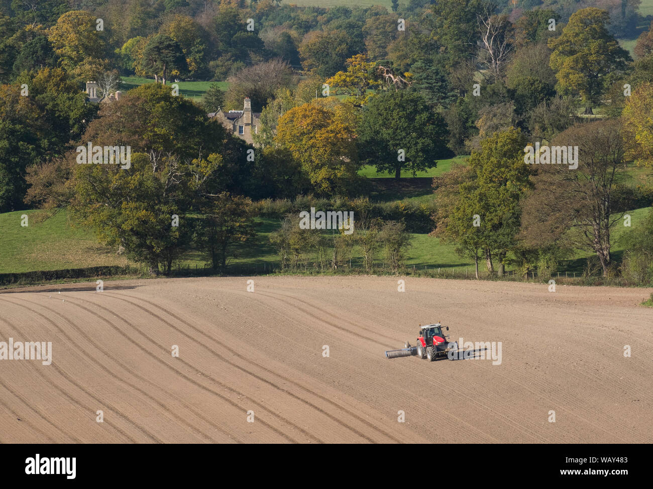 A tractor working in a field at Oswestry, Shropshire, seen from Old Oswestry hill fort. Stock Photo