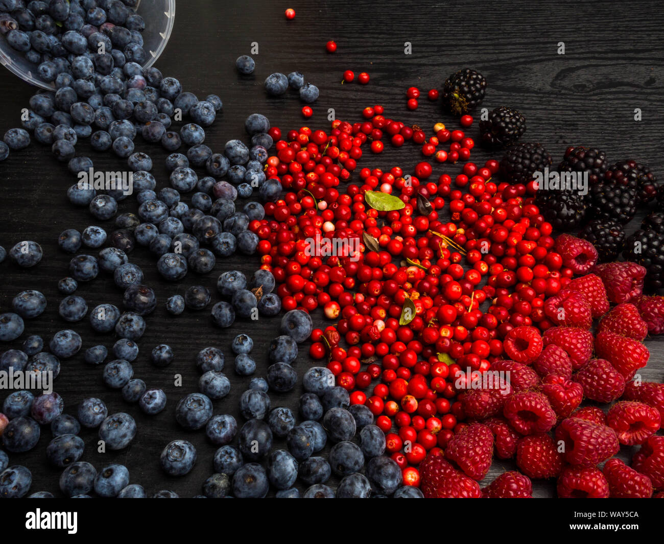 super antioxidants. superfood. mix of fresh berries, rich with