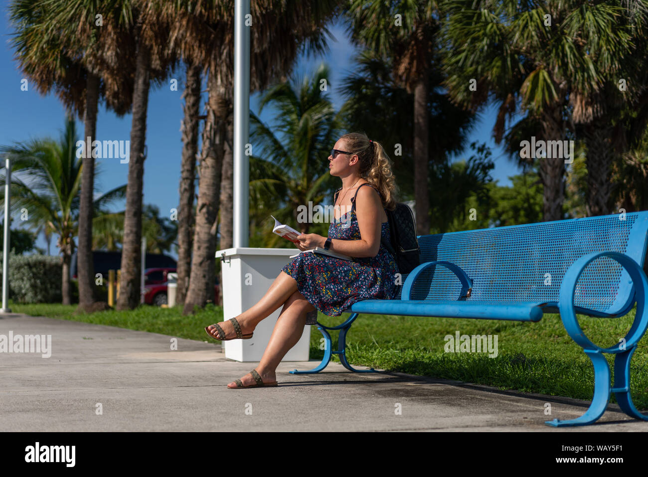 Back to School, how to choose educational institution Stock Photo