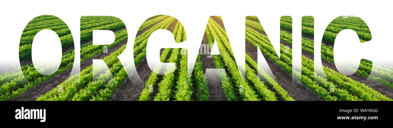 Harmful Chemicals High Resolution Stock Photography and Images - Alamy