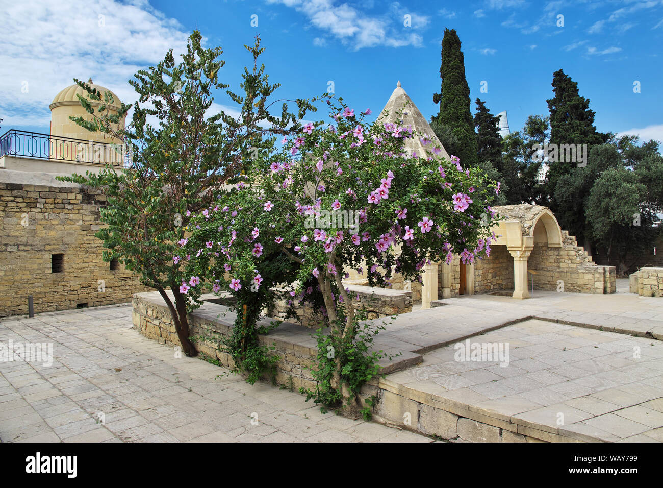 Flowers in Baku city, Azerbaijan Stock Photo Alamy