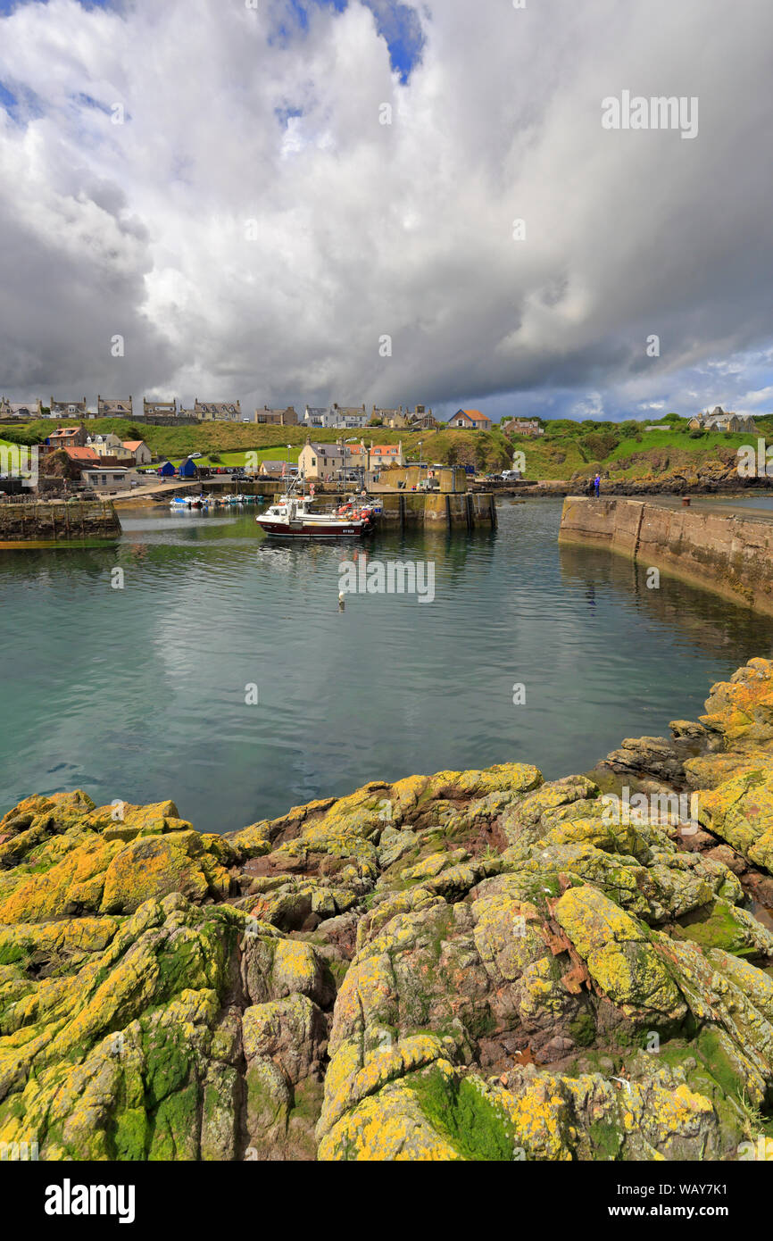 St Abbs harbour, St Abbs, Berwickshire, Scottish Borders, Scotland, UK. Stock Photo