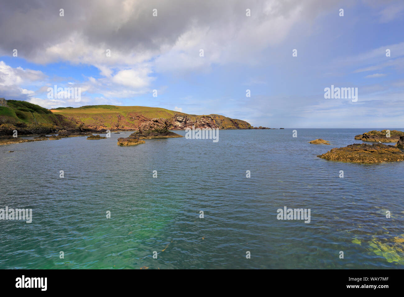 St Abbs Head and Starney Bay from St Abbs, Berwickshire, Scottish Borders, Scotland, UK. Stock Photo