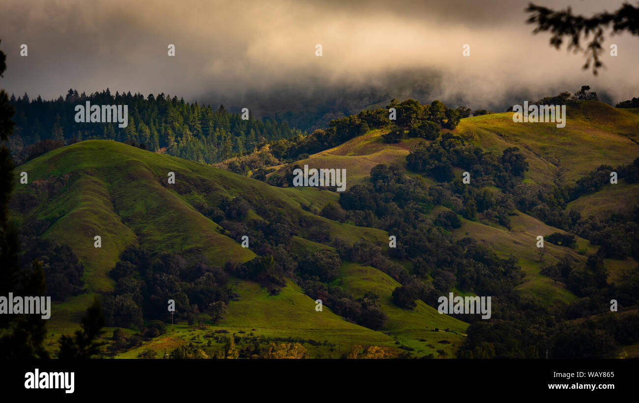Anderson valley california fog hires stock photography and images Alamy