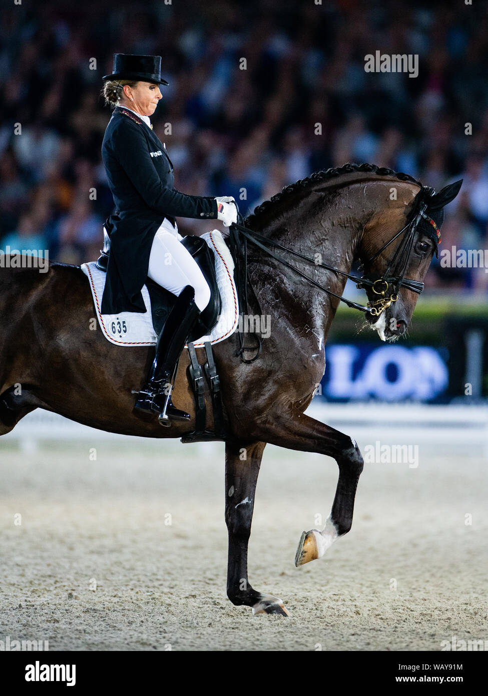Euro Equestrian Rider Rotterdam, Netherlands. 22nd Aug, 2019. European Championship ...