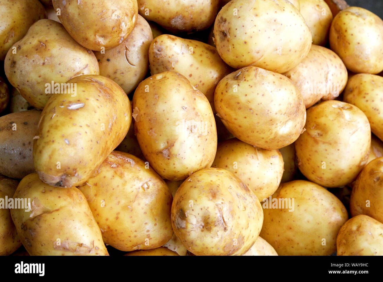 Bunch of small organic yellow potatoes horizonta Stock Photo - Alamy