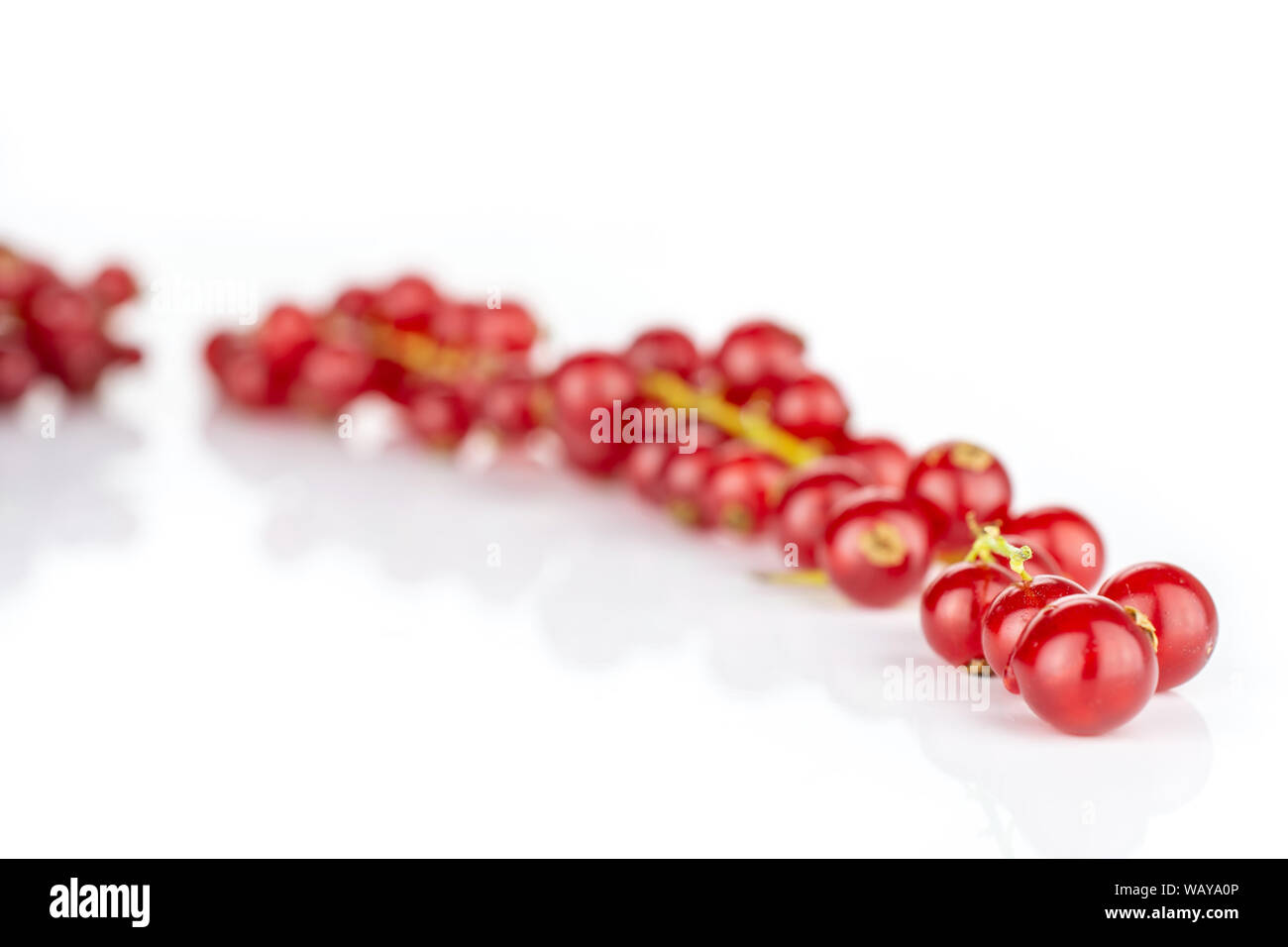 Currant Rows Lot of whole fresh red currant in row isolated on white background ...