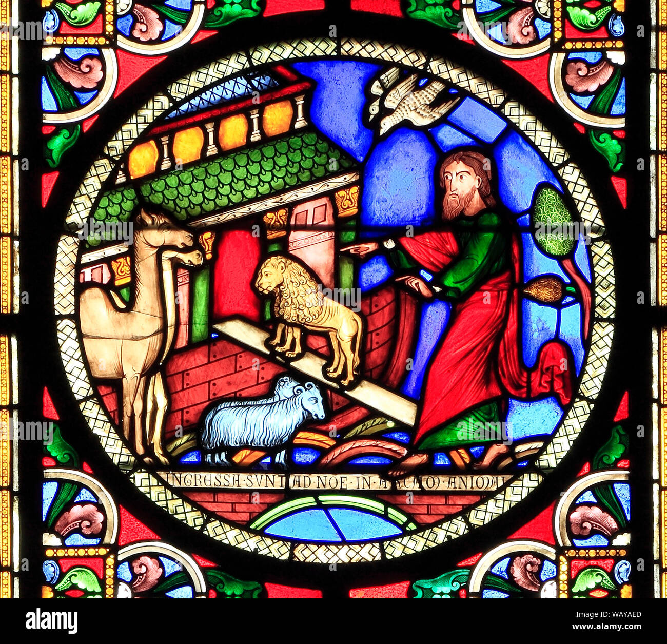 Stained Glass window, Noah's Ark, animals going in two by two, lions, sheep,camels, doves, by Alfred Gerente of Paris, 1849 Stock Photo