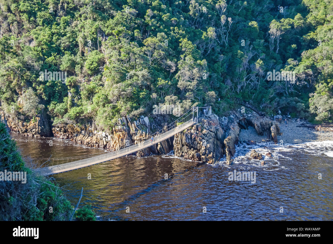 Suspension footbridge over the Storms River in the Tsitsikamma National Park, a part of a hiking trail along the Garden Route coast of South Africa Stock Photo