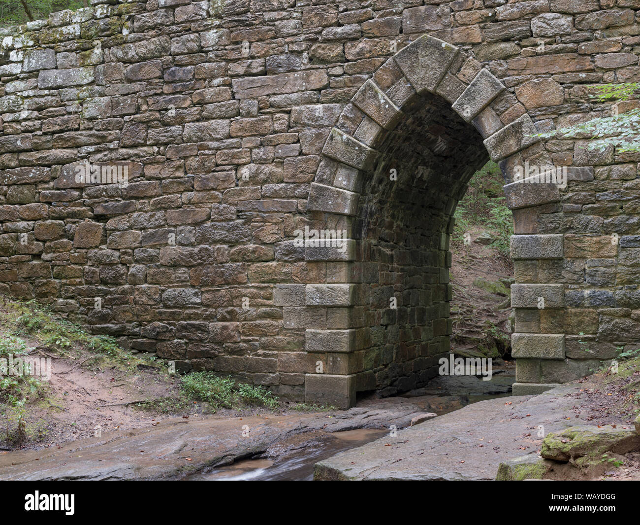Poinsett Bridge over Little Gap Creek. The oldest bridge in South