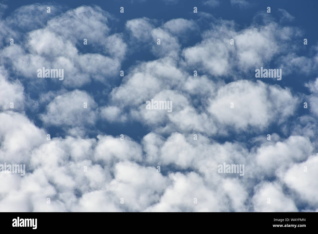Blue sky with white fluffy cumulus clouds Stock Photo - Alamy