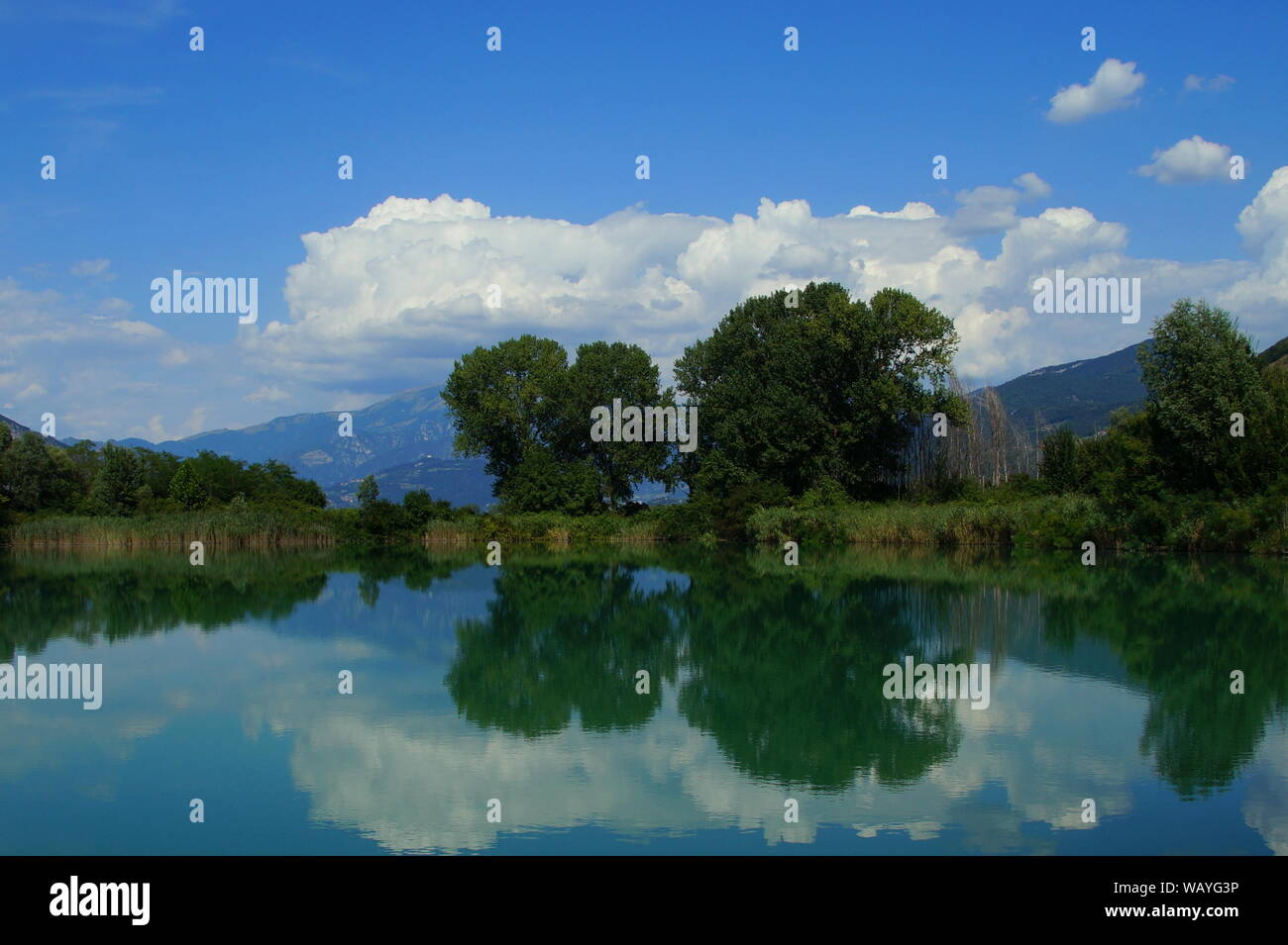 Natural Reserve Sebino, Italian wetland. Stock Photo