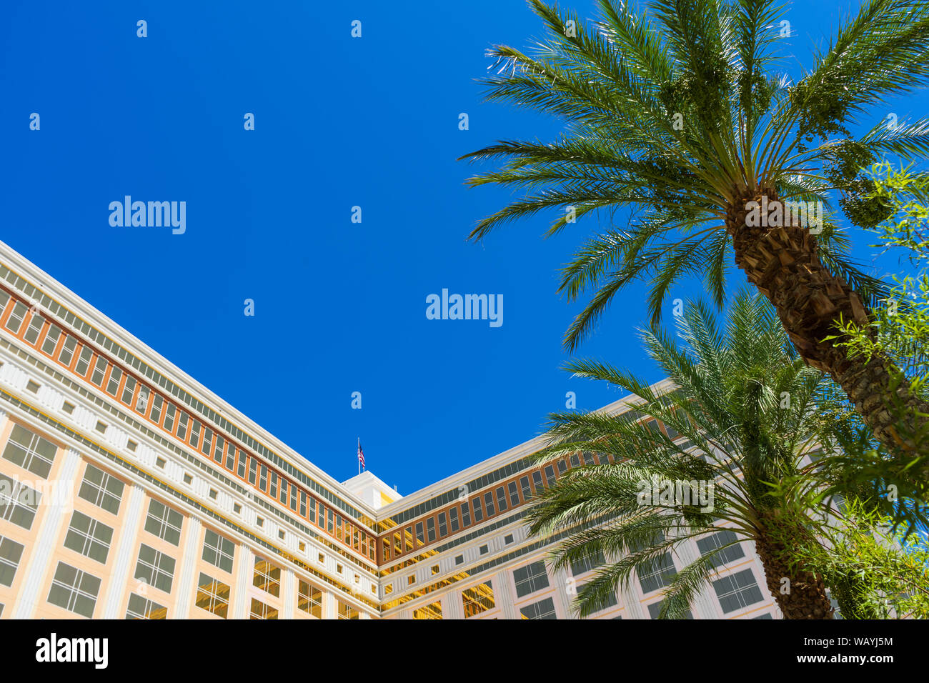 Las Vegas, NV  / USA - August 19, 2019: A view of the exterior of South Point Hotel and Casino located at 9777 South Las Vegas Blvd, Las Vegas, Nevada Stock Photo