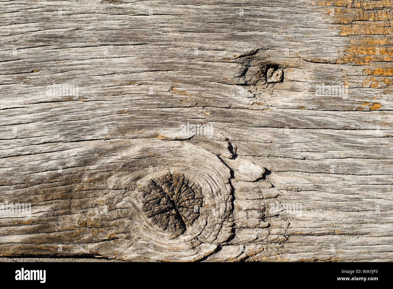 Texture of raw rustic wood. Can be used as background. Stock Photo