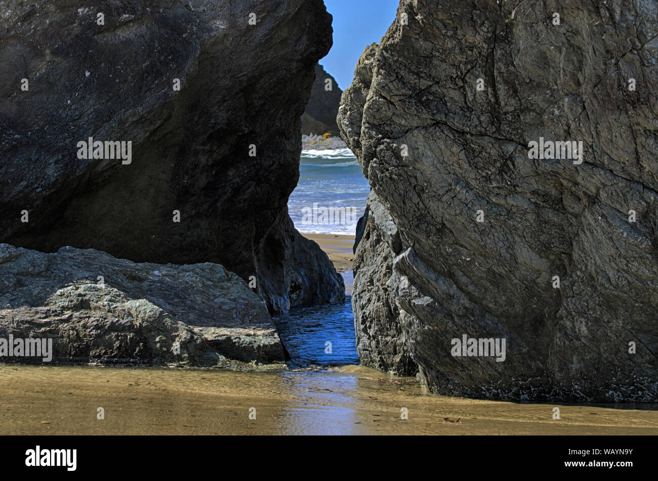 Sea stacks emerge from the sands of Bandon Beach as an tide