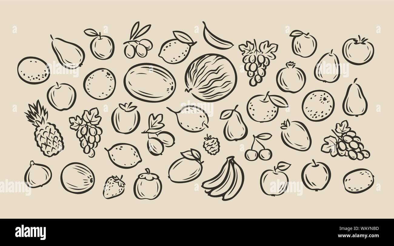 Many hand-drawn fruits. Food sketch vector illustration Stock Vector