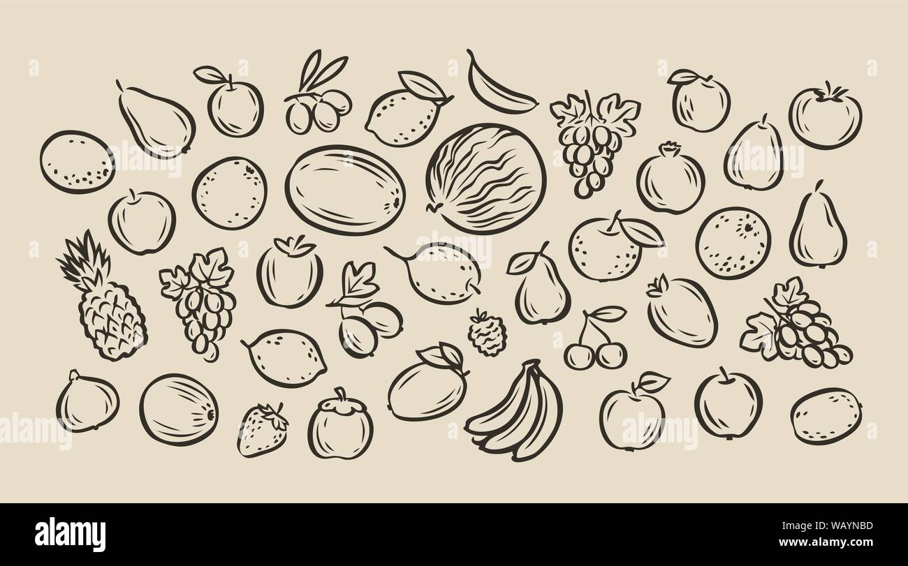 Many handdrawn fruits. Food sketch vector illustration Stock Vector