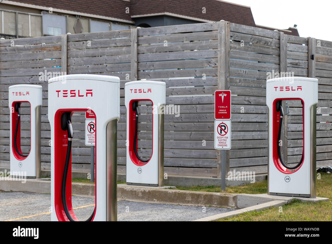 Four empty Tesla Supercharger Stalls. Stock Photo