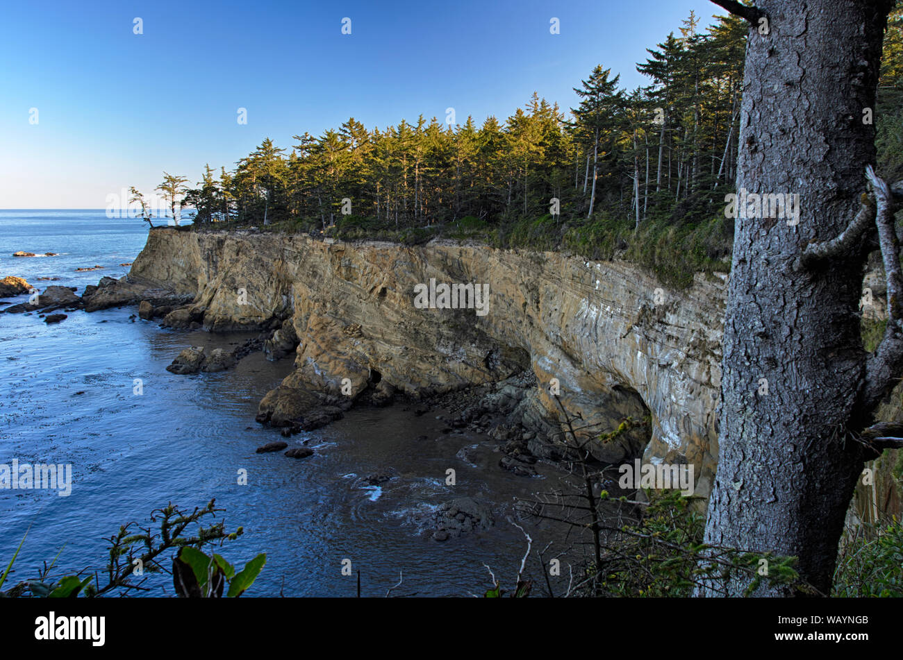 View from the cliffs at Shore Acres State Park, including a sea cave, on Cape Arago, near Charleston, Oregon, in the Coos Bay area Stock Photo