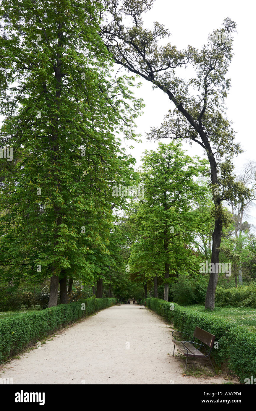 MADRID, SPAIN - APRIL 23, 2018: Beautiful footpath surrounded by plants and trees in the Retiro Park, Madrid, Spain. Stock Photo