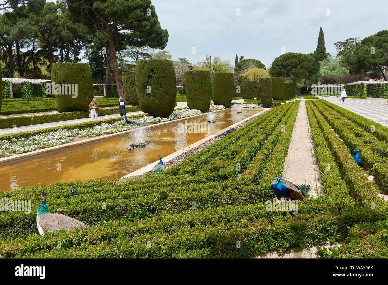 MADRID, SPAIN - APRIL 23, 2018: View of the Gardens of Cecilio Rodriguez with peafowls and a water pond in the Buen Retiro Park in Madrid, Spain. Stock Photo