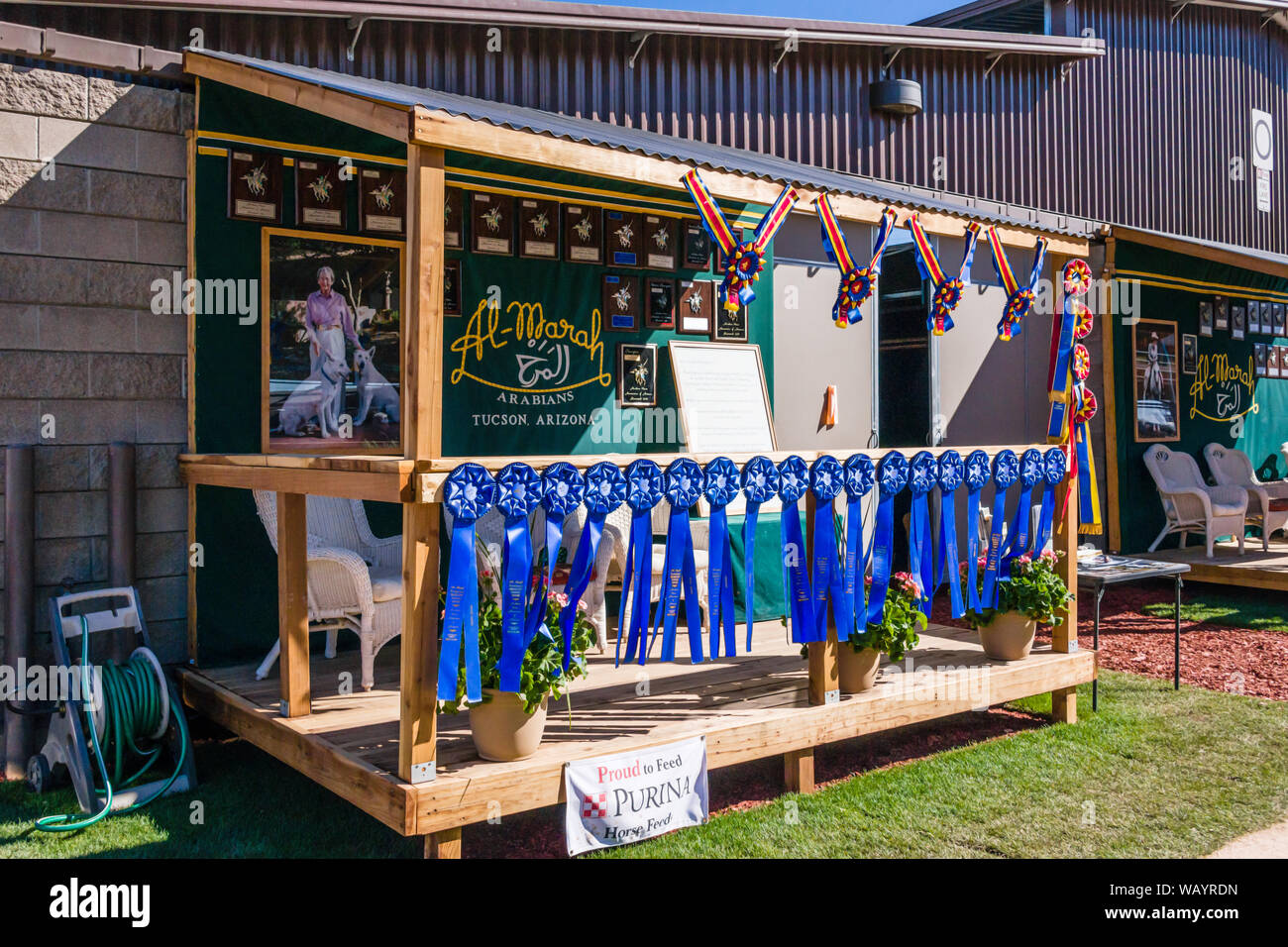 Scottsdale Arabian Horse Show Awards Stock Photo