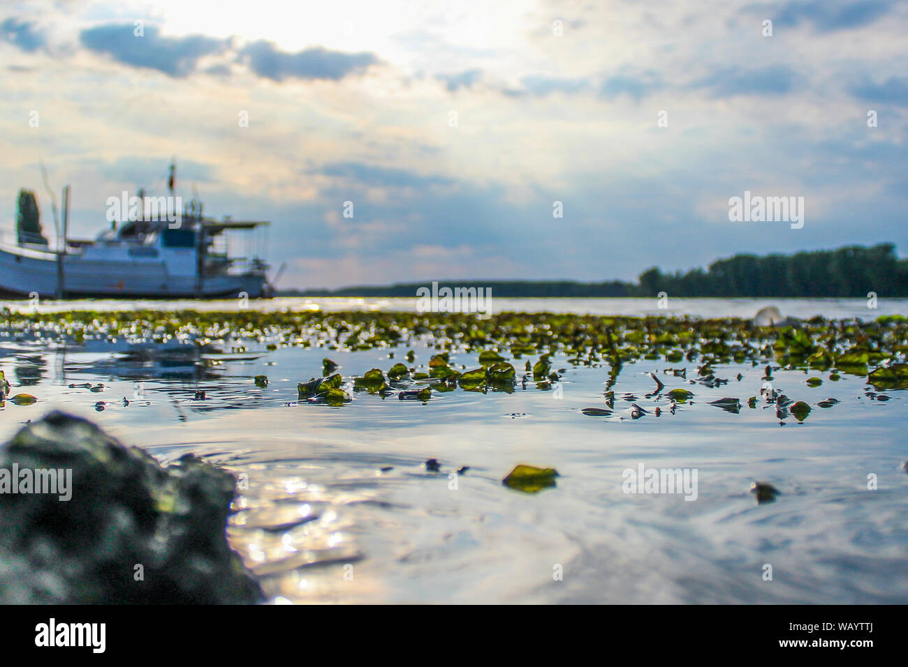 Danube river | Serbian nature Stock Photo