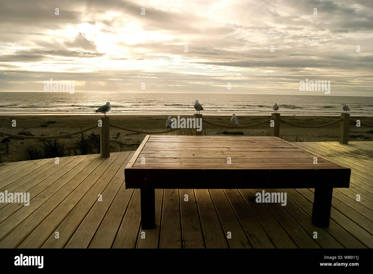 Beach landscape with table and logs in Napier, Hawkes Bay, New Zealand with  wood white clouds in background and seagulls watching the horizon Stock Photo