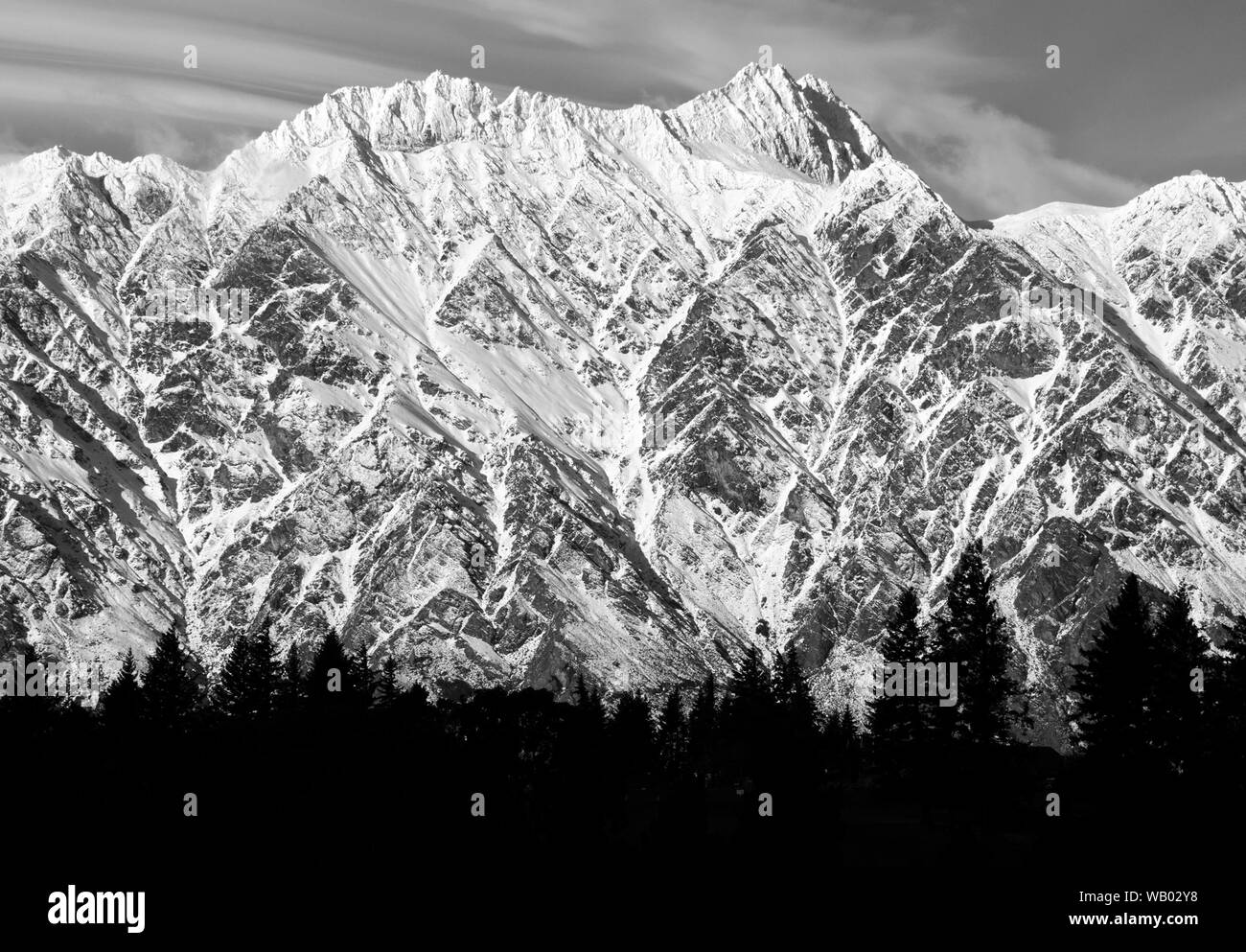The Remarkables Mountain Range with trees silhouette in black and white in  Queenstown New Zealand Stock Photo