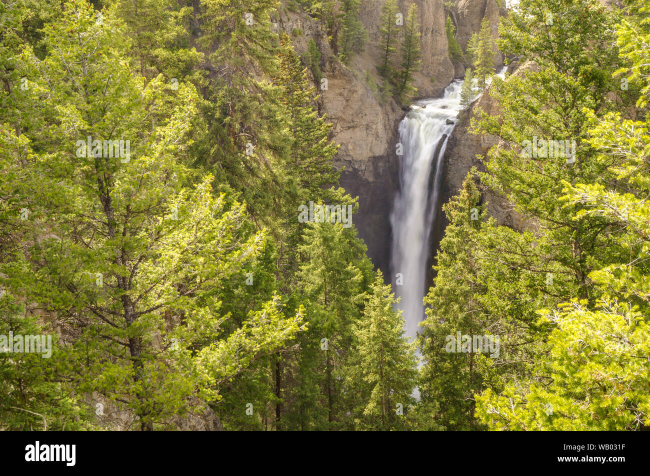 Tower fall Blurred waterfalls in the middle of green trees and mountains in yellowstone Stock Photo