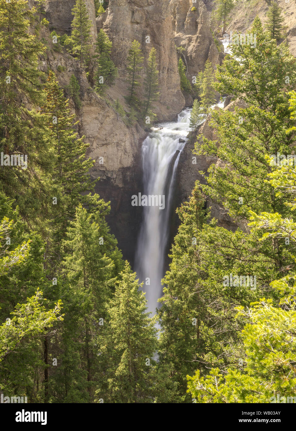 Tower fall Blurred waterfalls in the middle of green trees and mountains in yellowstone Stock Photo