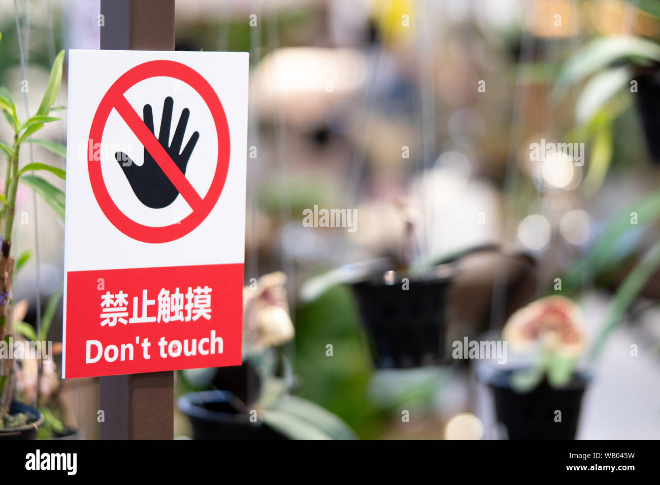 do not touch sign on orchid flowers garden Stock Photo Alamy