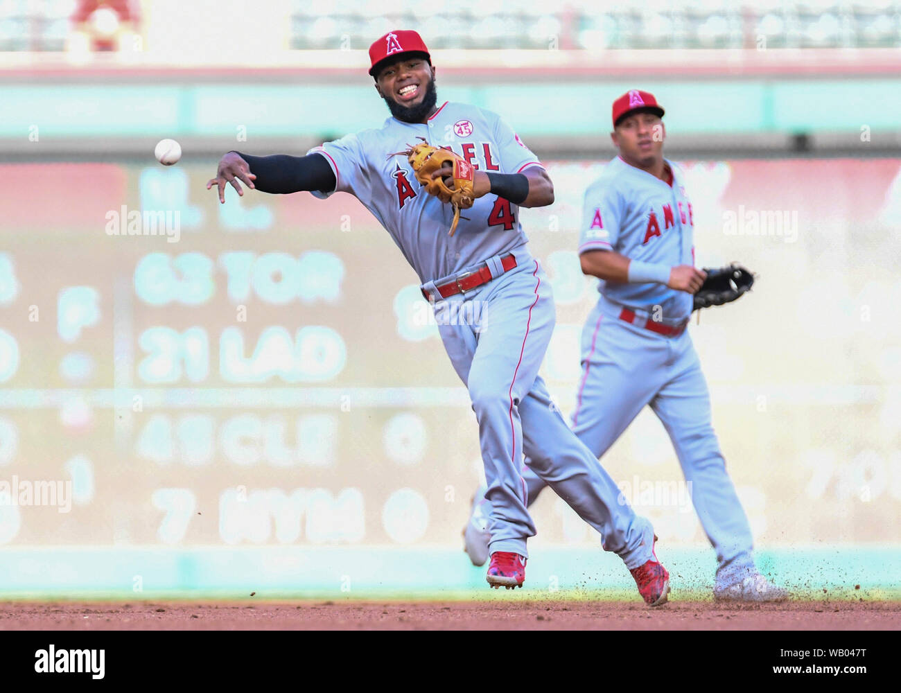August 21, 2019: Los Angeles Angels first baseman Luis Rengifo #4 makes a play to first base for an out during an Major League Baseball game between the Los Angeles Angels and the Texas Rangers at Globe Life Park in Arlington, Texas defeated Los Angeles 8-7 Albert Pena/CSM Stock Photo