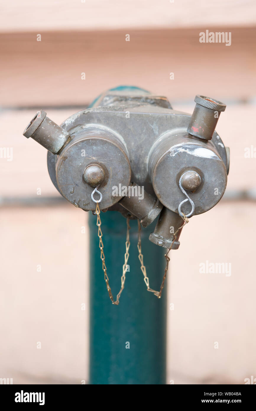 Green fire hydrant on a sidewalk Stock Photo
