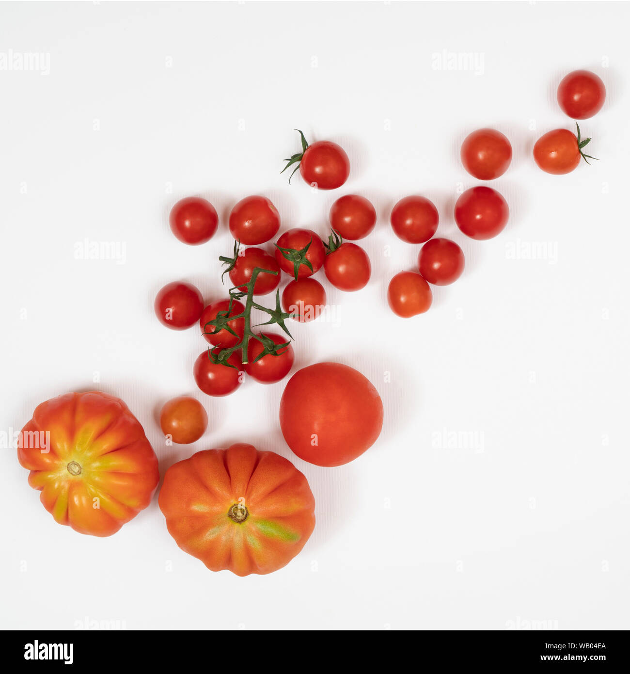 Types of tomatoes hires stock photography and images Alamy