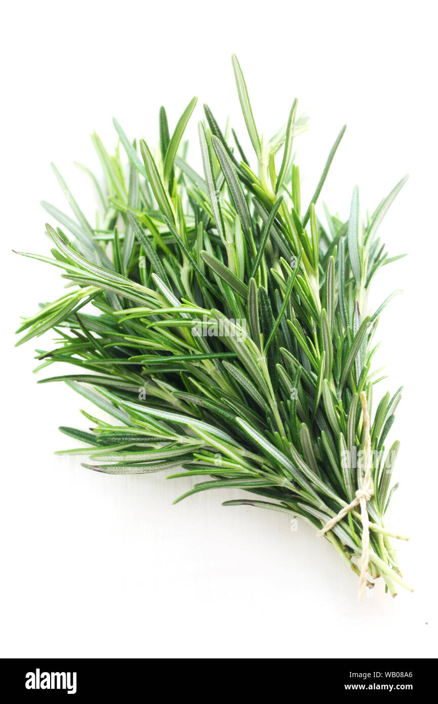 Bunch Of Rosemary Isolated On White Stock Photo Alamy