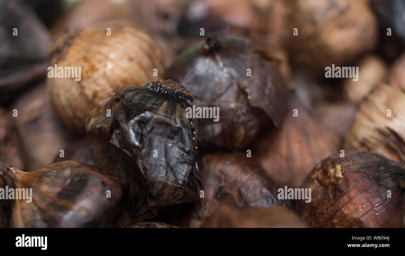 Fake black flowers hires stock photography and images Alamy