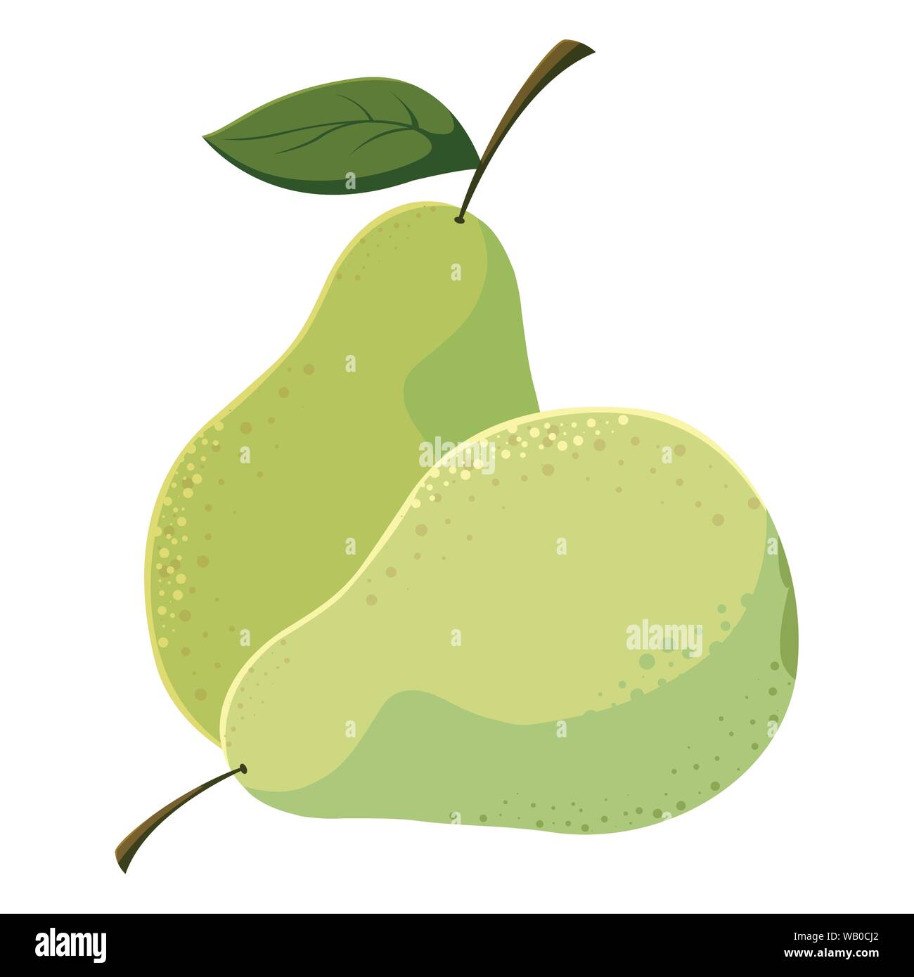 pears fresh fruit in white background vector illustration Stock Vector ...