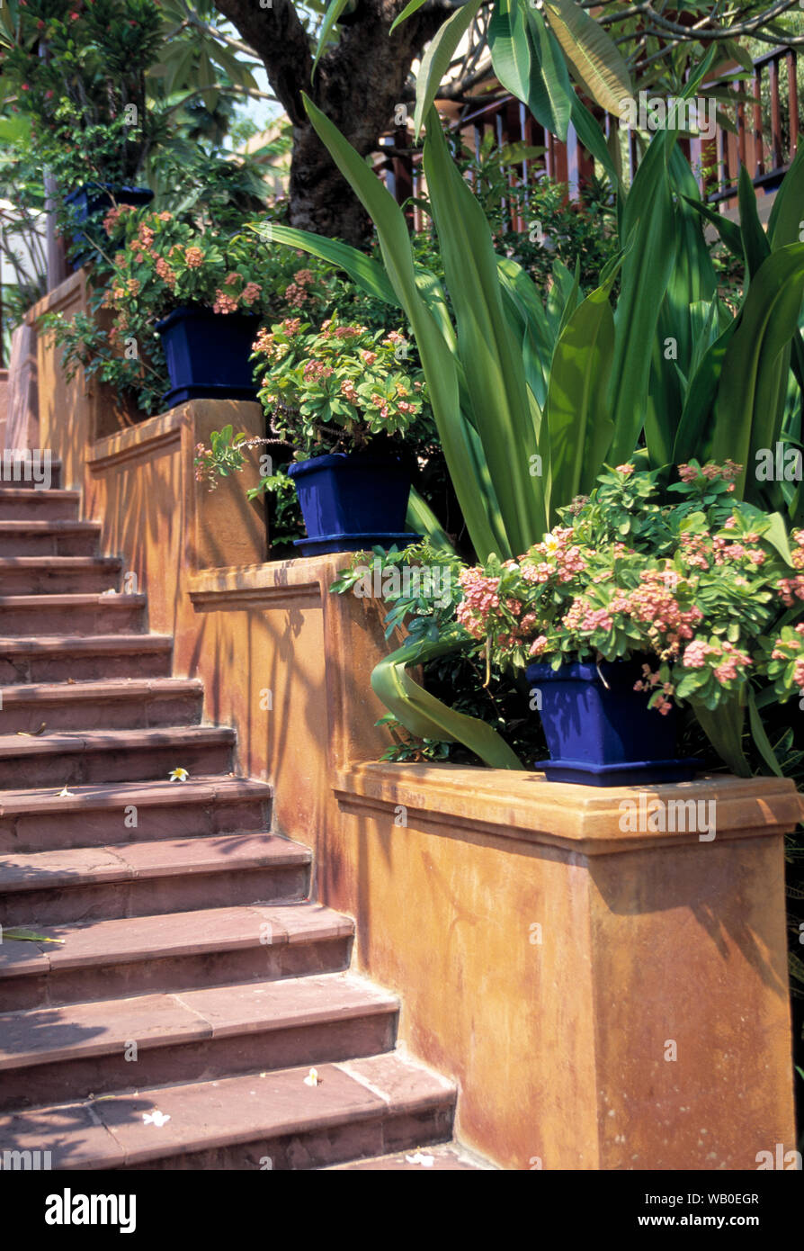 india, garden steps with colourful flower pots lining the structure Stock Photo